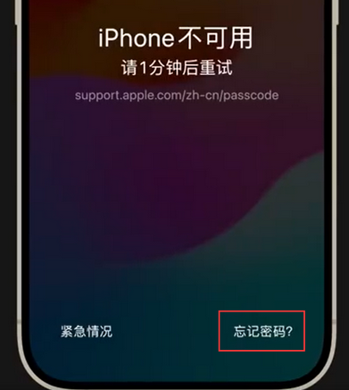 澄城苹果手机密码维修分享iPhone忘记了刚设置的密码 