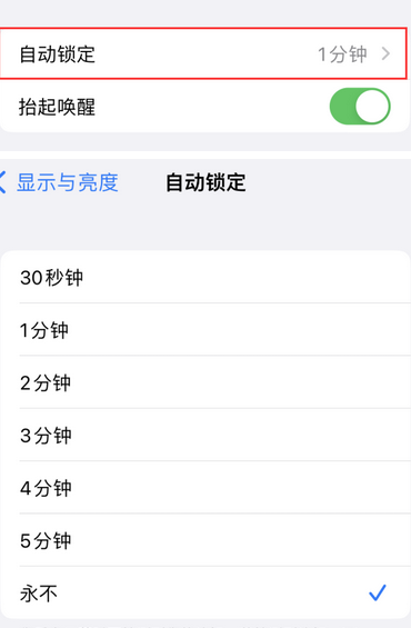 澄城苹果换屏维修分享无法调整iPhone自动锁屏的时间怎么办