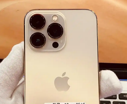 澄城苹果13维修中心分享如何在iPhone13上设置动态壁纸
